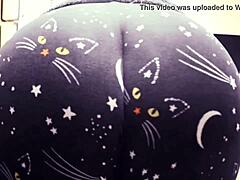 A nagy fenekű anyukák macskás nadrágban dicsekednek szexi görbületeikkel